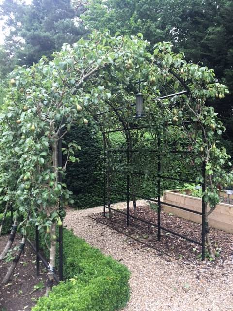 pear arch 2017